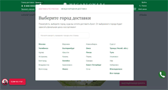 Desktop Screenshot of brjansk.megaflowers.ru