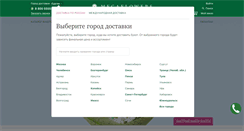 Desktop Screenshot of kurgan.megaflowers.ru