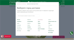 Desktop Screenshot of novosibirsk.megaflowers.ru